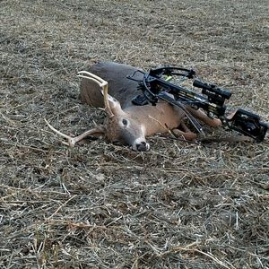 Meet your Posher, Bradley